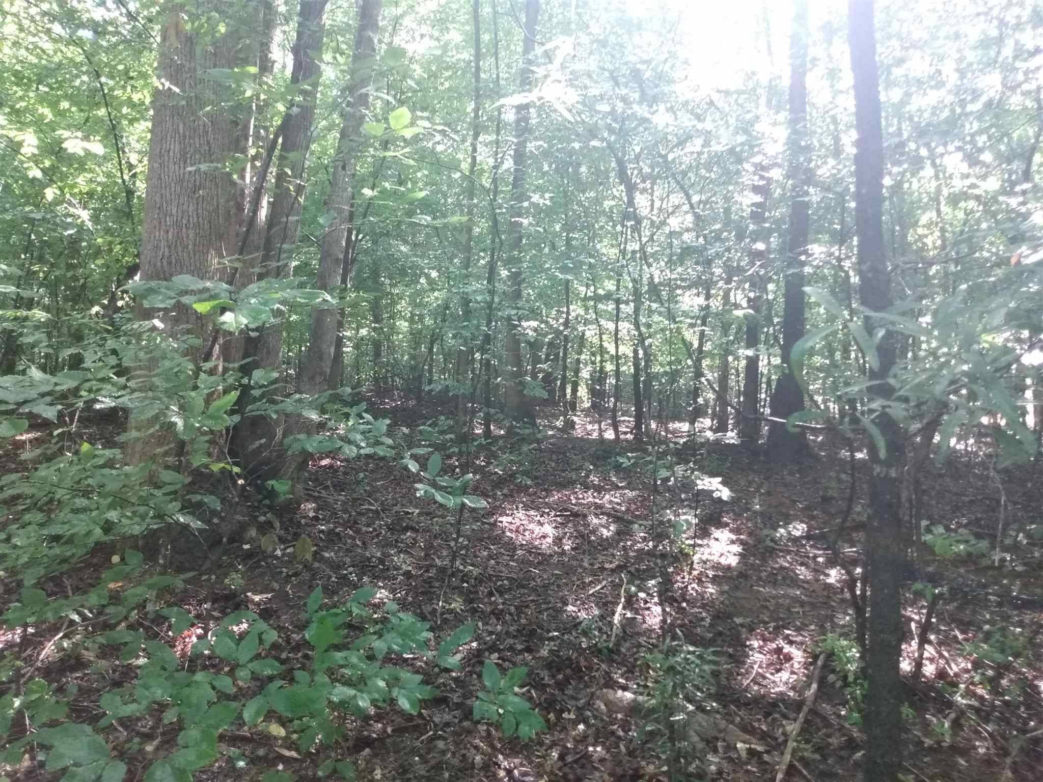Lavonia, GA 30553,0 Bow DR