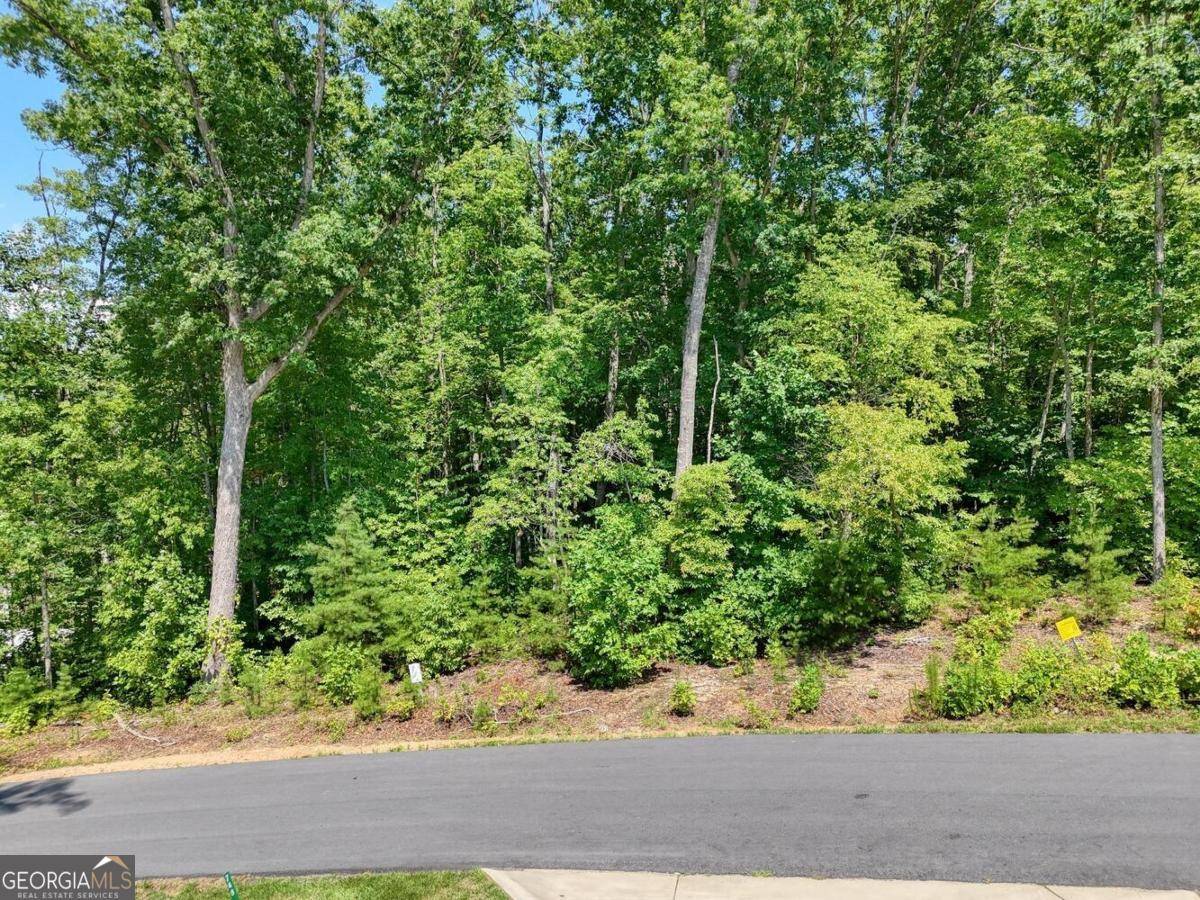 Blairsville, GA 30512,LOT 140 Reserve Road