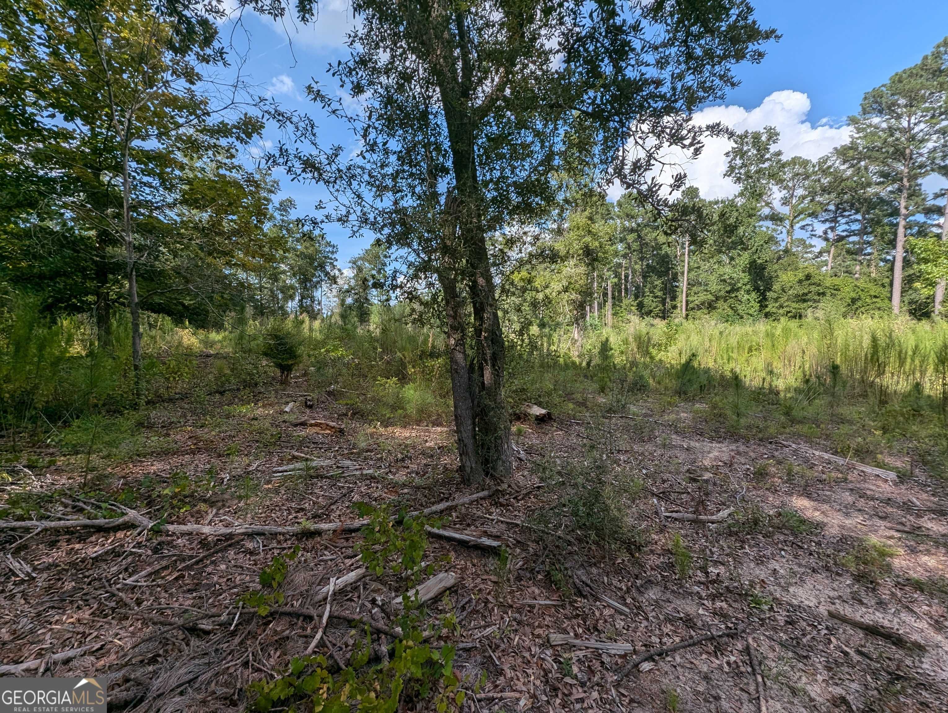 Jesup, GA 31545,LOT 34 Still Waters WAY