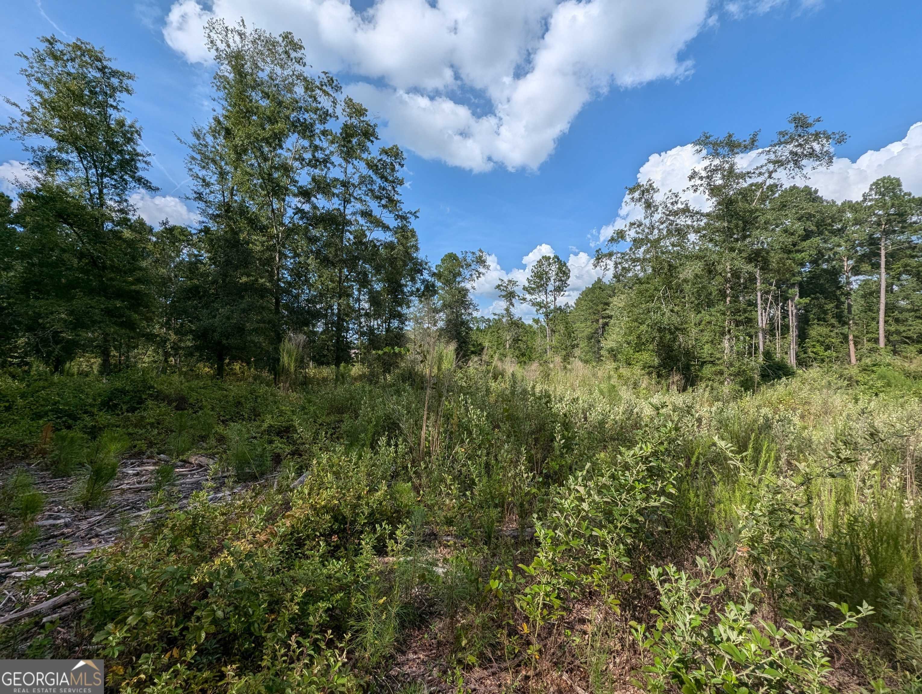 Jesup, GA 31545,LOT 34 Still Waters WAY