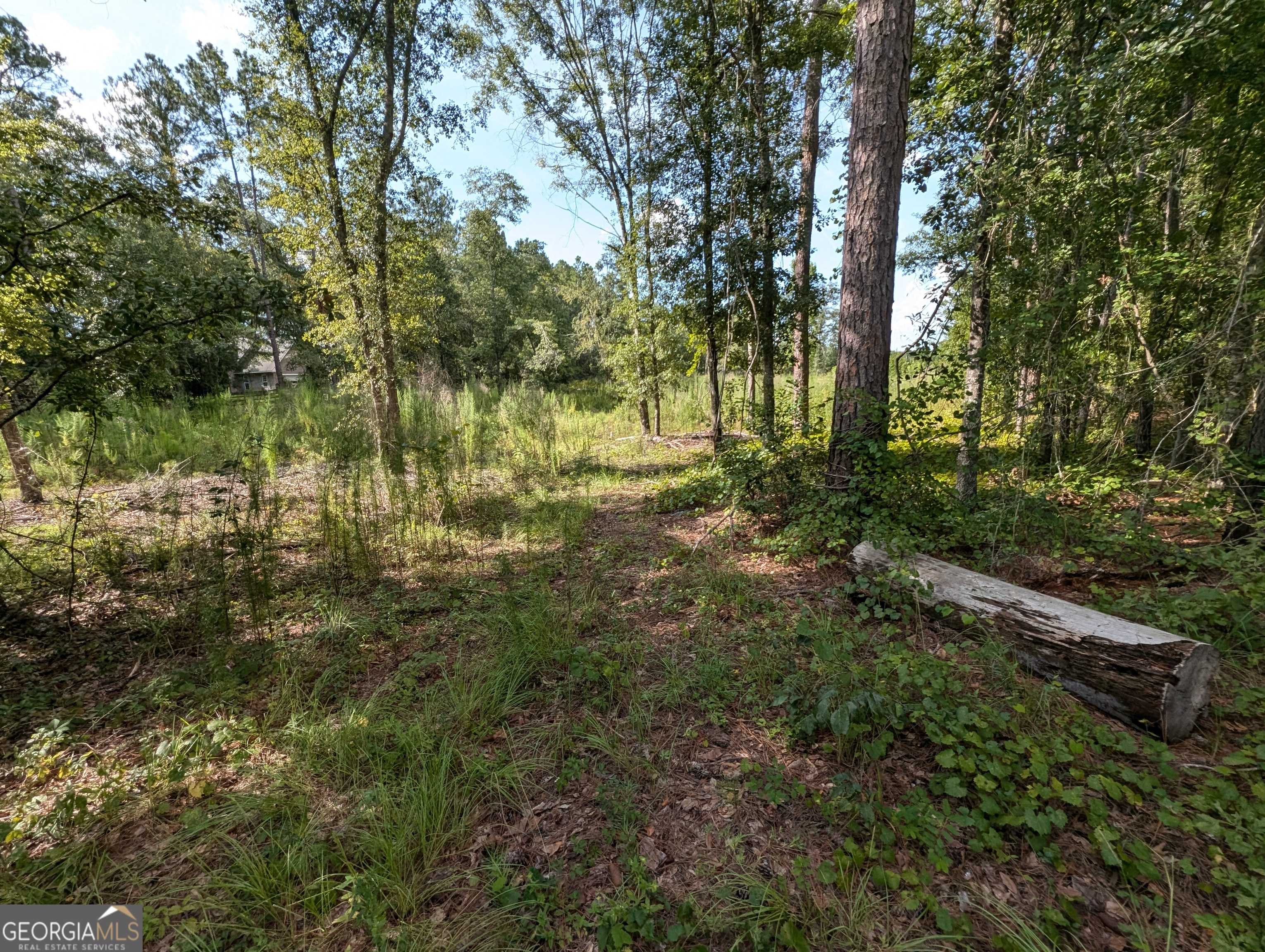 Jesup, GA 31545,LOT 34 Still Waters WAY