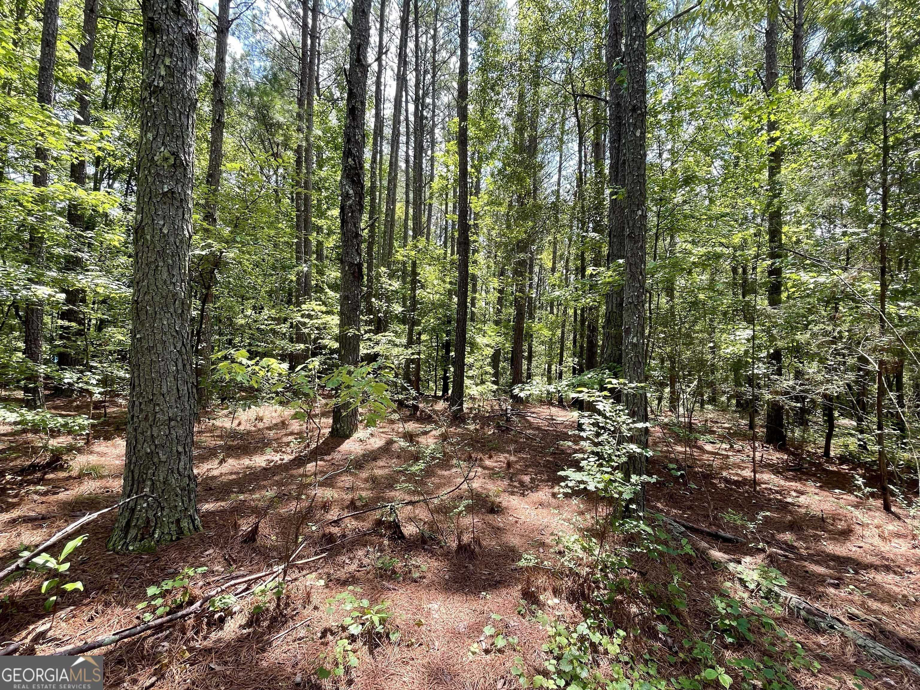 Newnan, GA 30263,0 WELCOME TO ARNCO RD