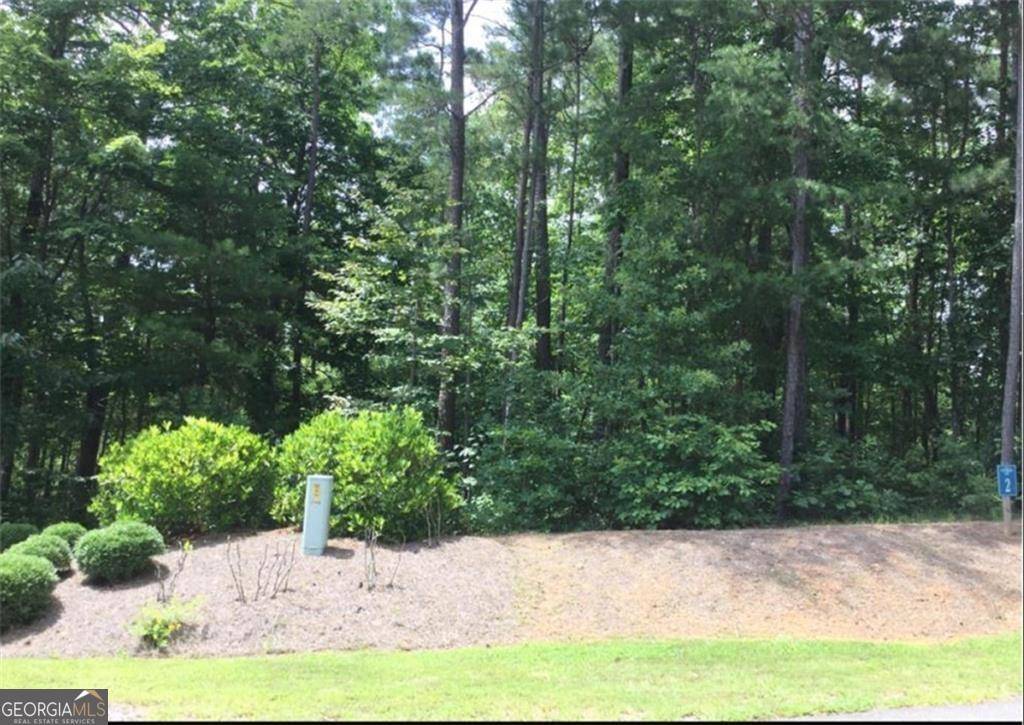 Ellijay, GA 30540,0 Harris Creek DR