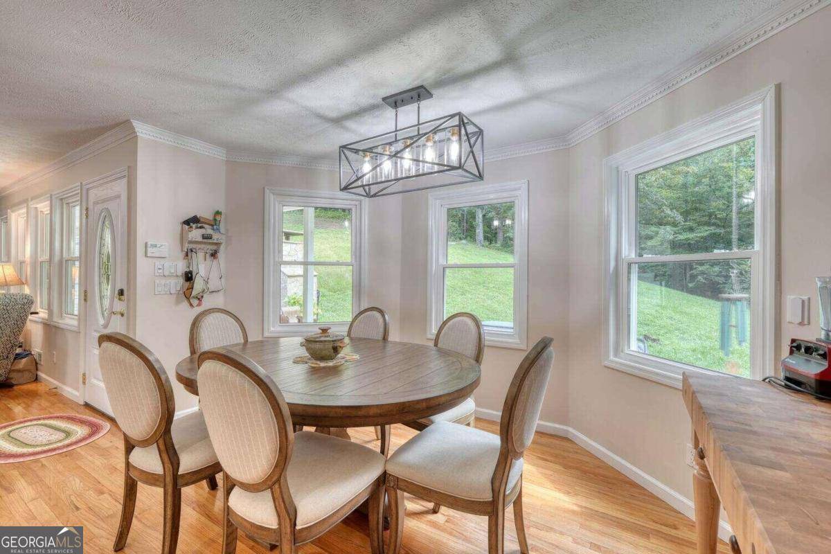 Hiawassee, GA 30546,946 Barefoot RD