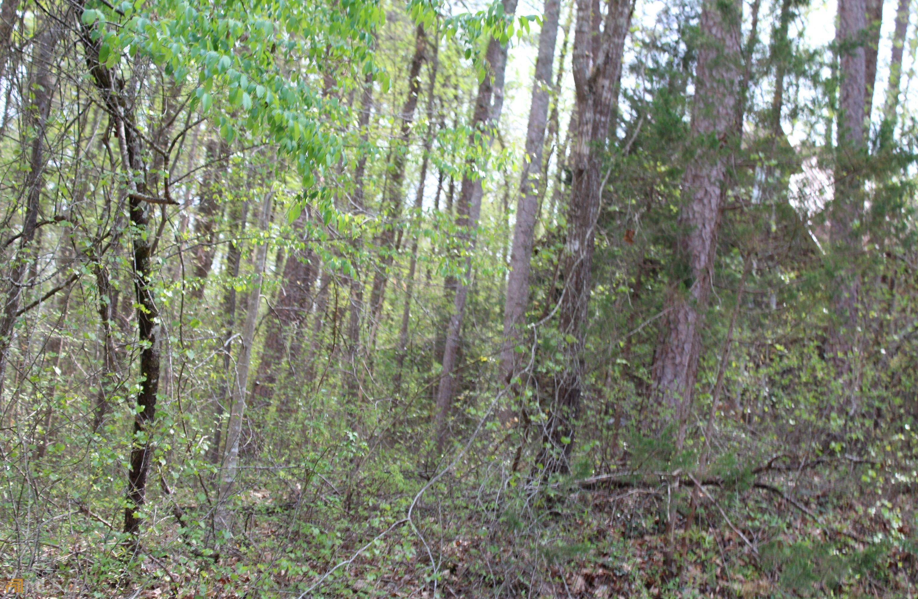 Martin, GA 30557,892 Lakeside TRL