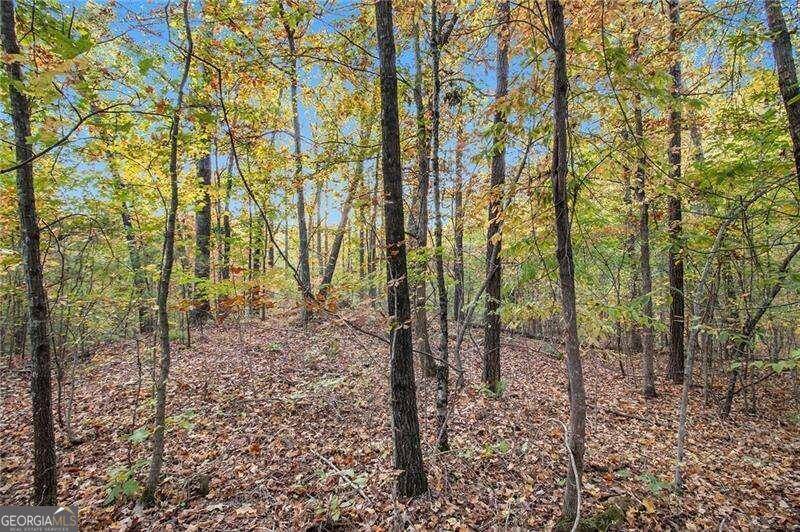 Dallas, GA 30132,1 Elsberry Mountain RD