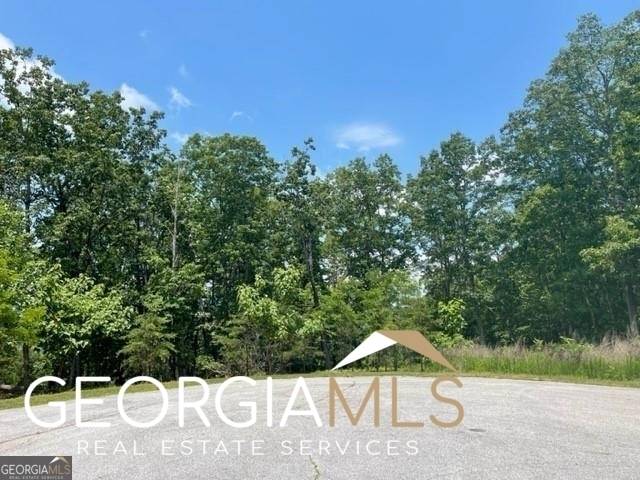 Cleveland, GA 30528,LOT 212 High Rock Trail