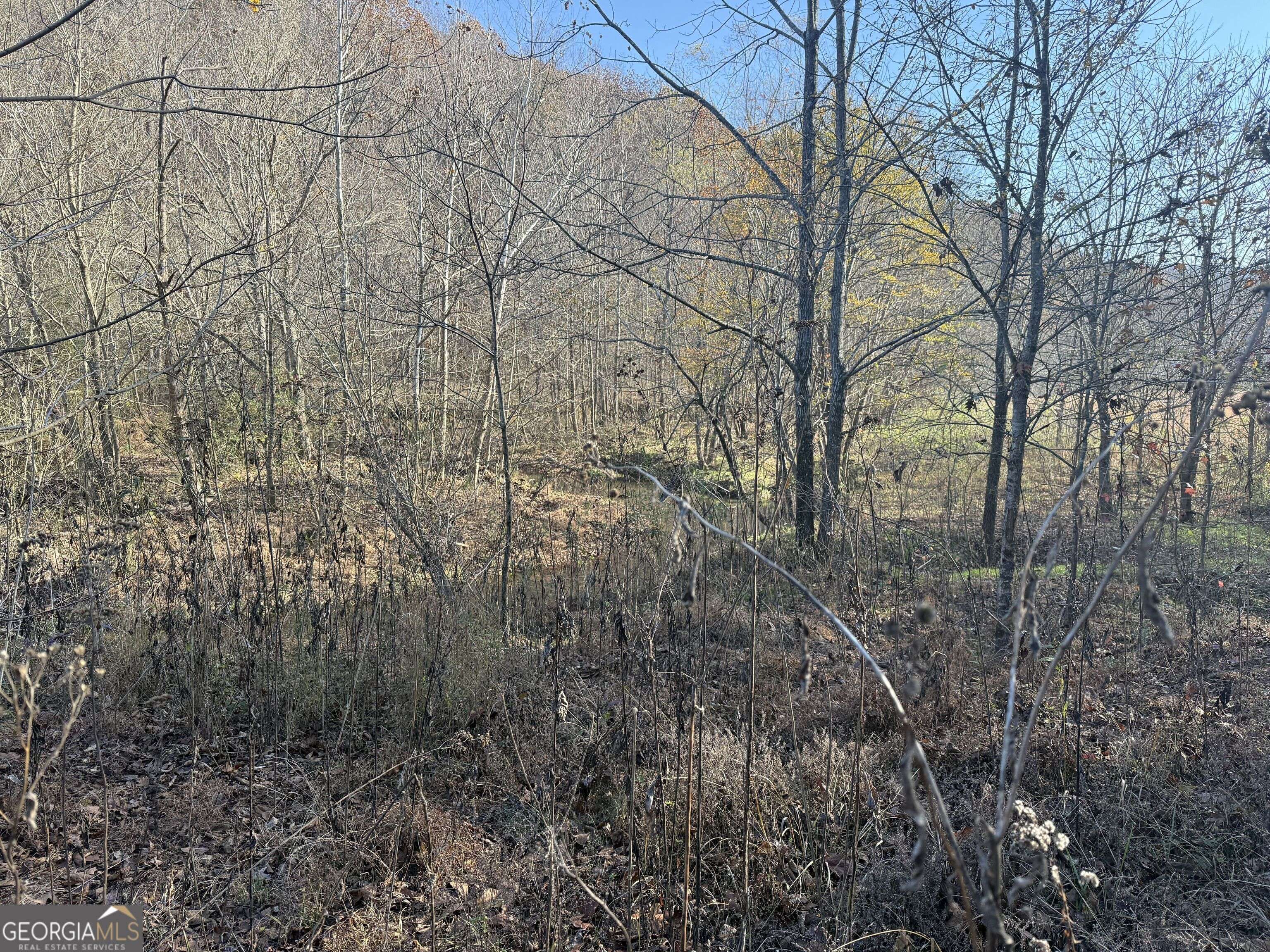 Chickamauga, GA 30707,0 Hog Jowl (15.92 ac) RD