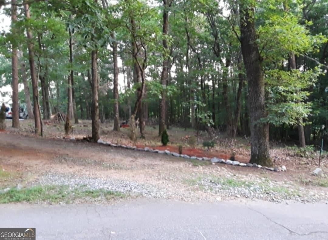 Cleveland, GA 30528,0 Pink Mountain