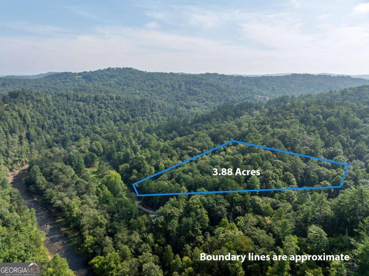 Talking Rock, GA 30175,0 Meadow Lane Lot 1734