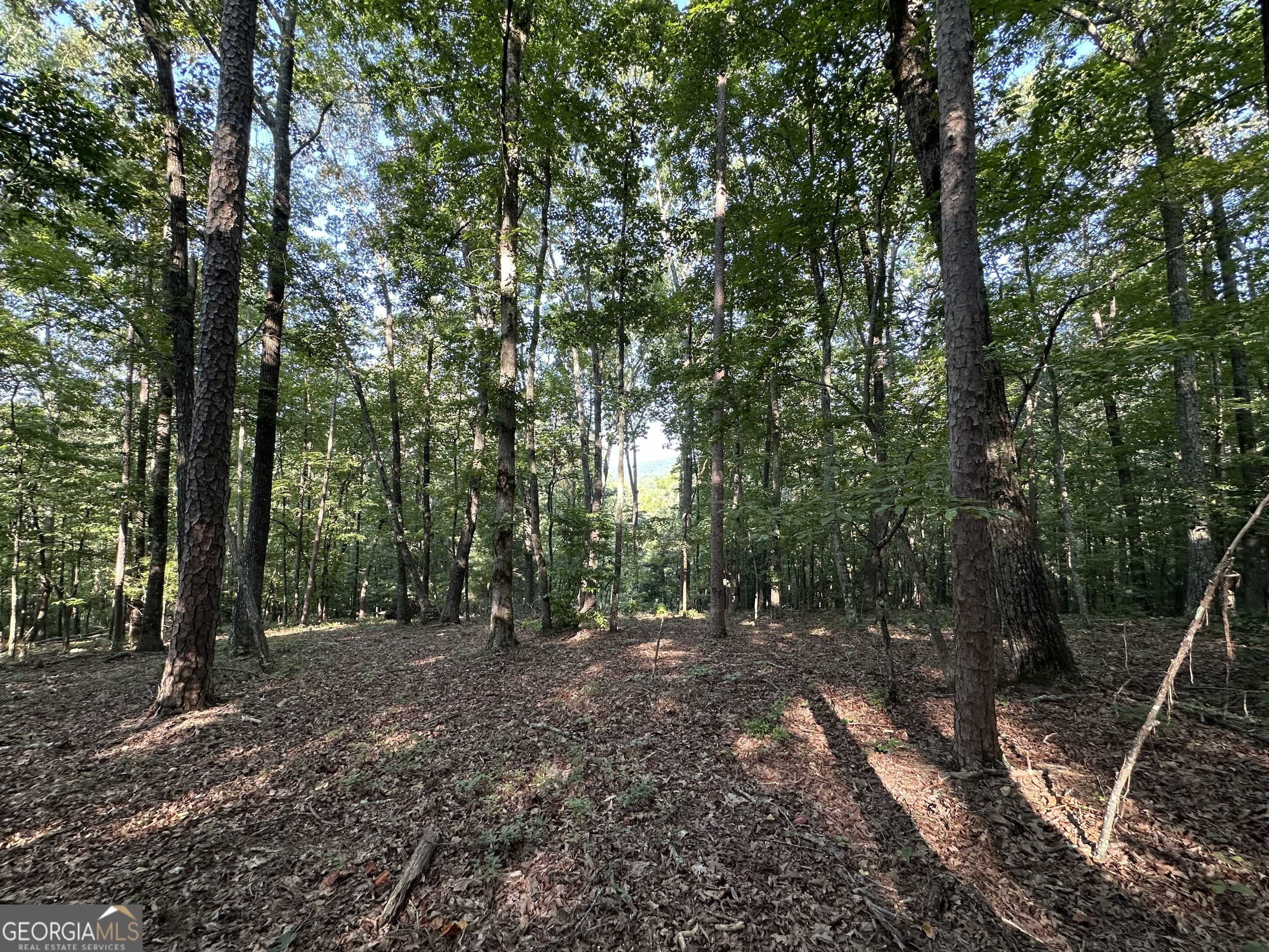 Ellijay, GA 30540,LT. 27R Tanager TRL