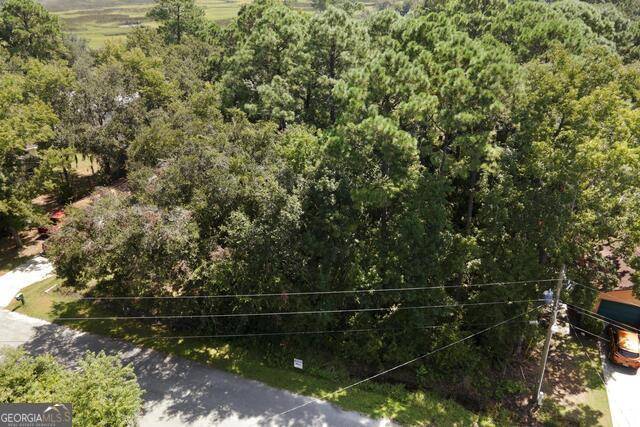 St. Marys, GA 31558,LOT 4B Dufour RD