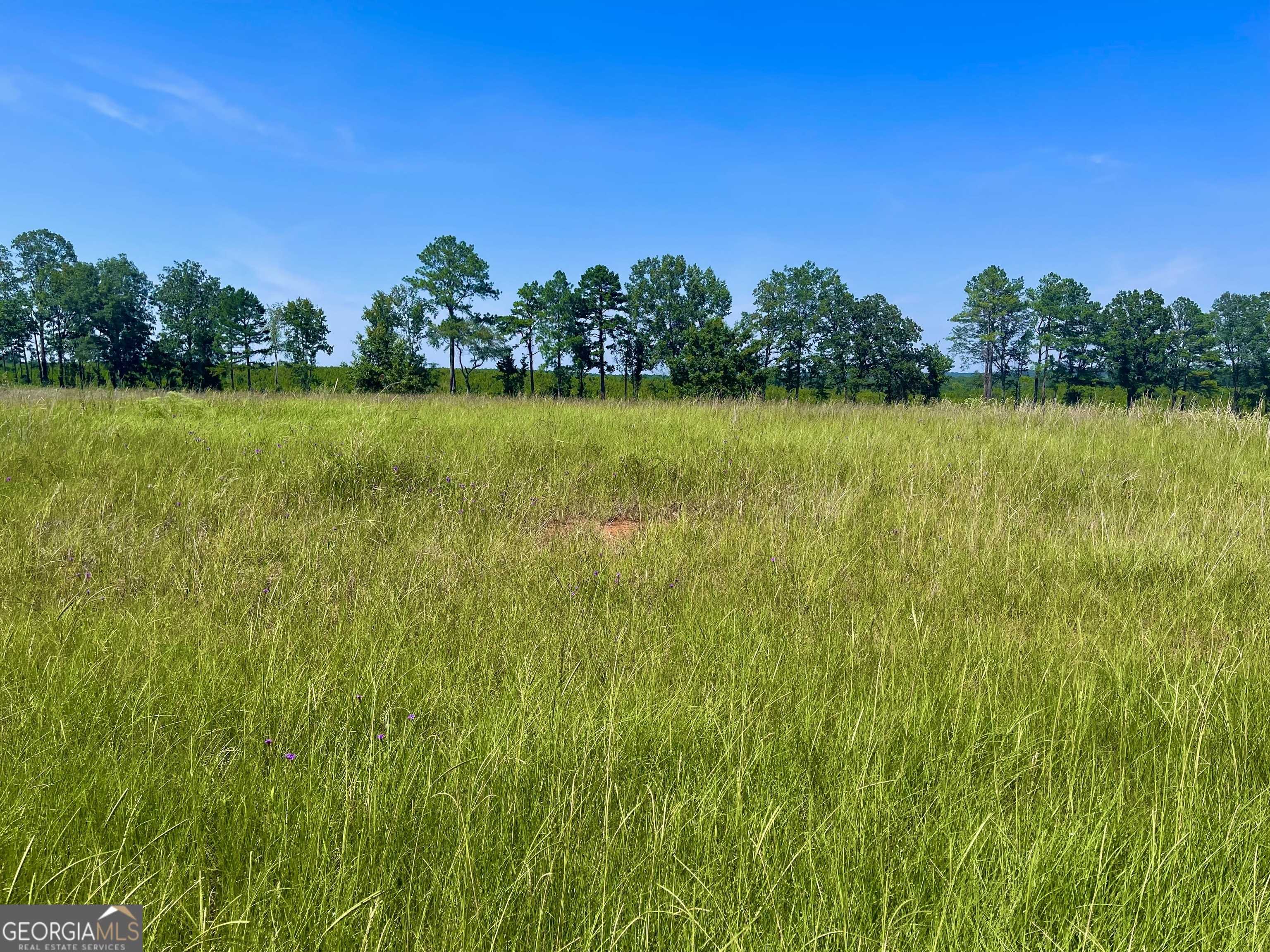 Hawkinsville, GA 31036,LOT 36 Crabapple DR