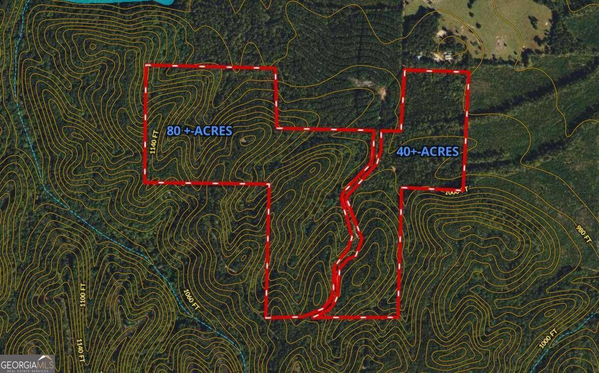 Cedartown, GA 30125,0 Fire Tower/Fire Mountain RD