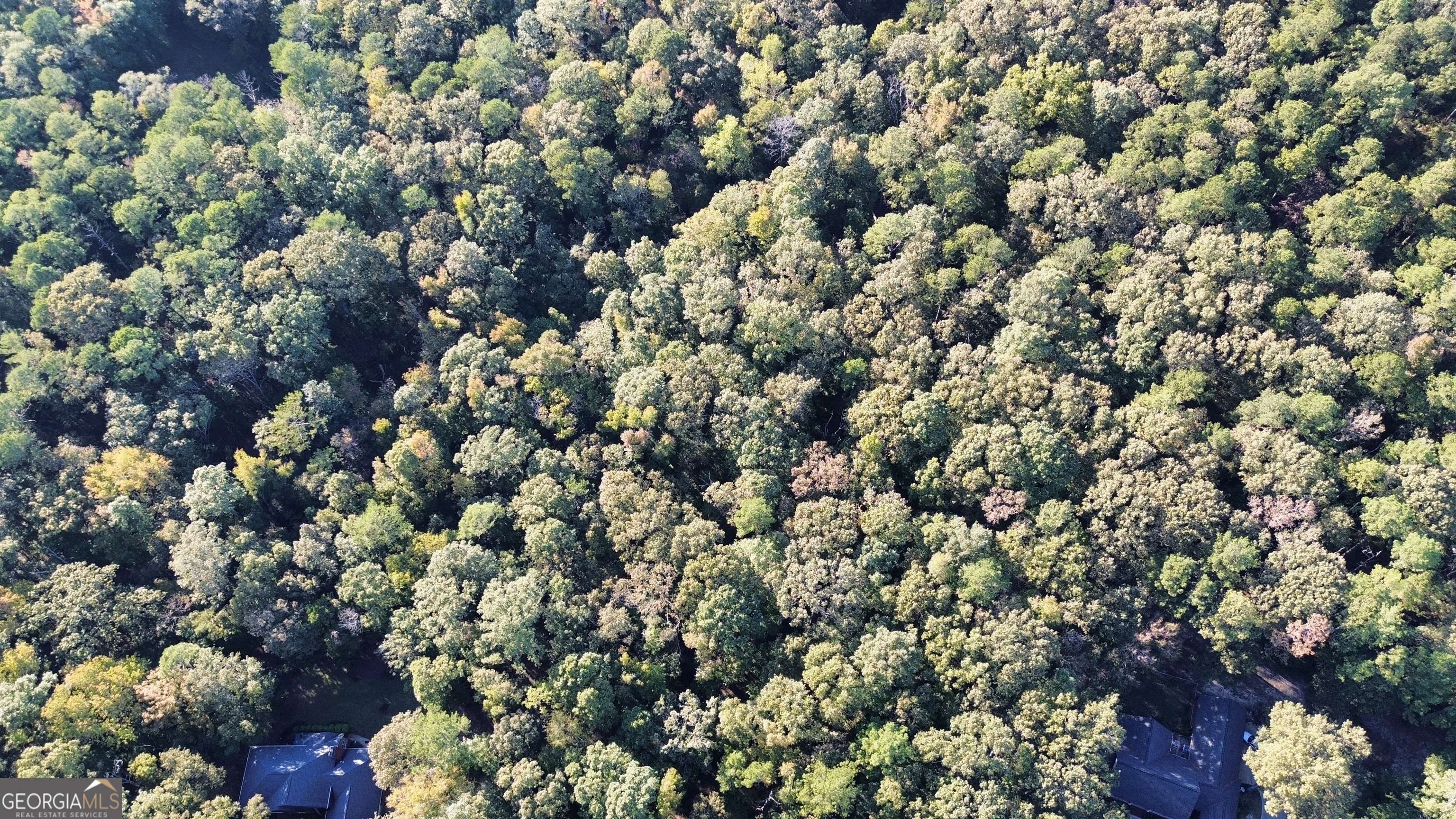 Dublin, GA 31021,0 Deer Creek TRL