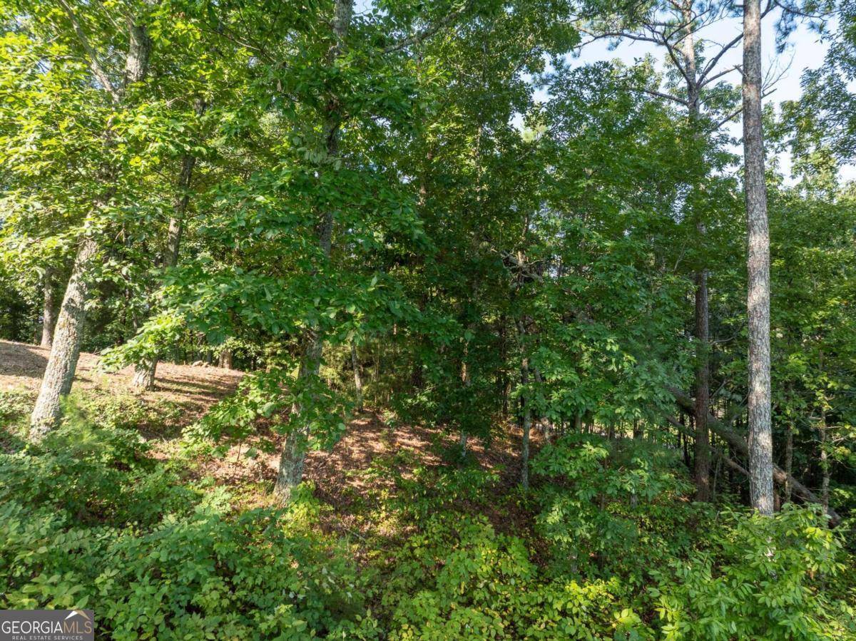Ranger, GA 30734,1577 Dallas CT