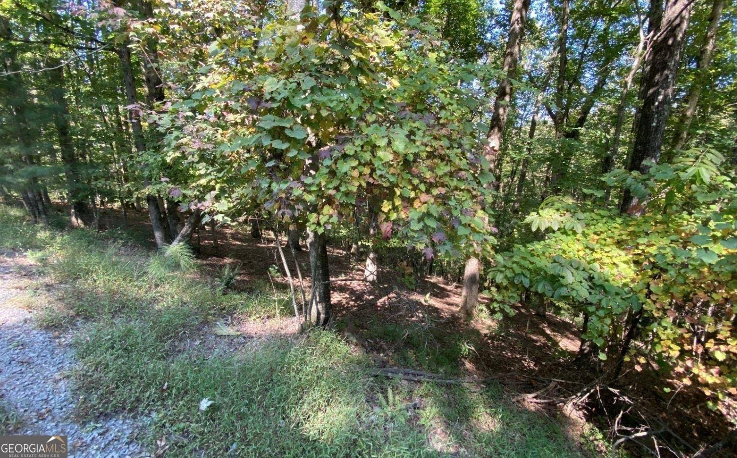 Ellijay, GA 30540,L811 Myna DR