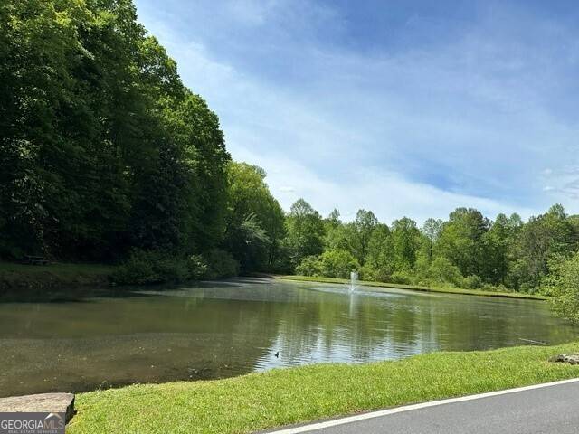 Ellijay, GA 30540,L811 Myna DR
