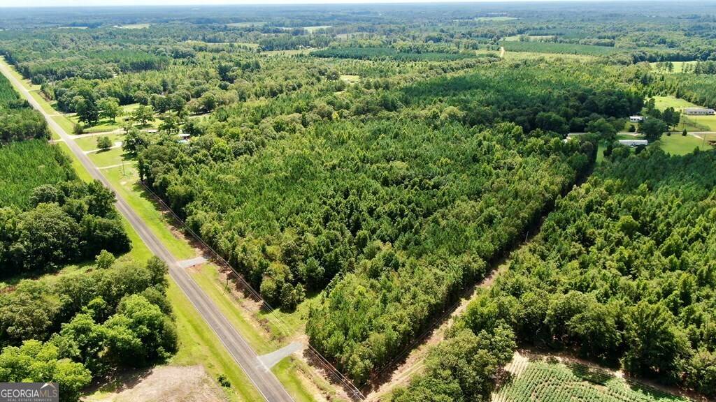 Dexter, GA 31019,0 Hillbridge Rd Lot 1