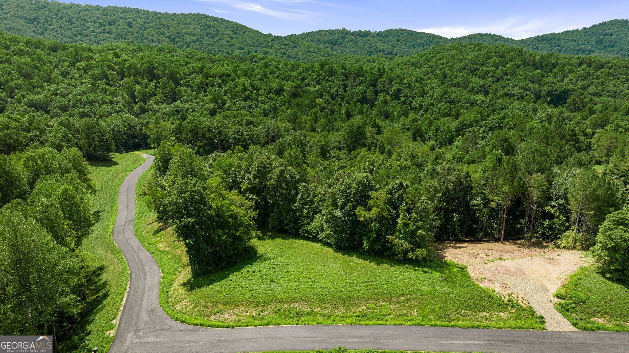 Mineral Bluff, GA 30559,LOT 9 Waterstone