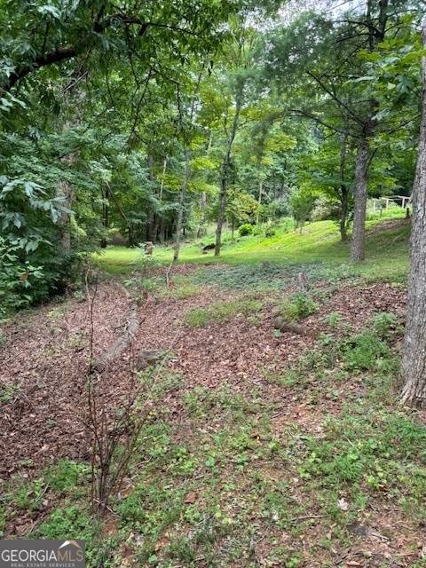 Dahlonega, GA 30533,0 Cedar Mountain RD #LOT 8