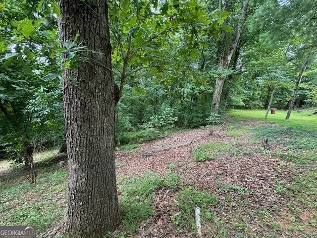 Dahlonega, GA 30533,0 Cedar Mountain RD #LOT 8