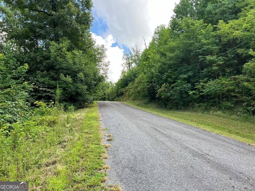 Hayesville, NC 28904,LOT 73M Ridges Overlook