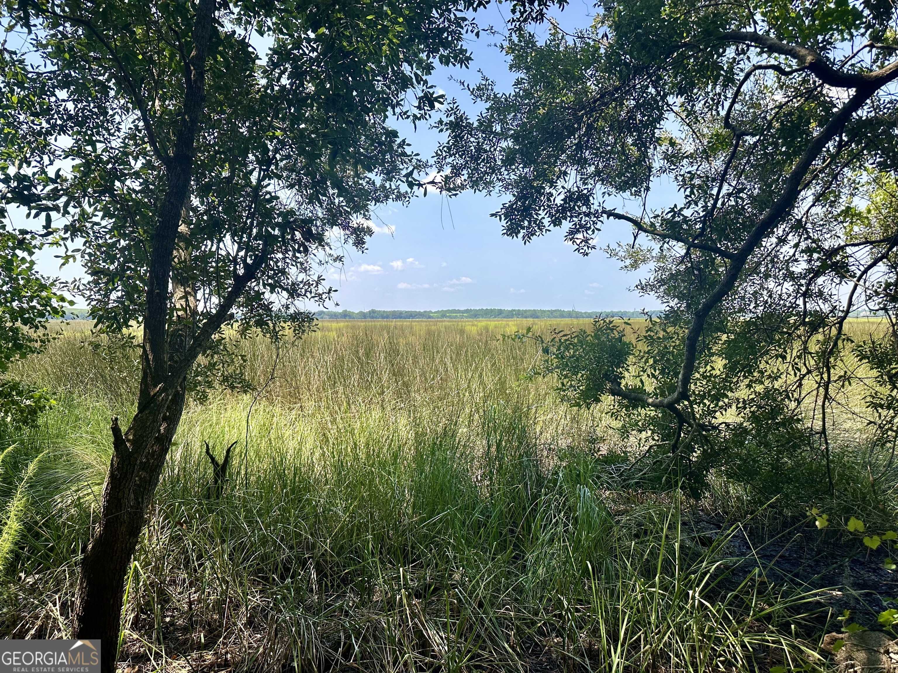 St. Marys, GA 31558,0 Marsh View Lane