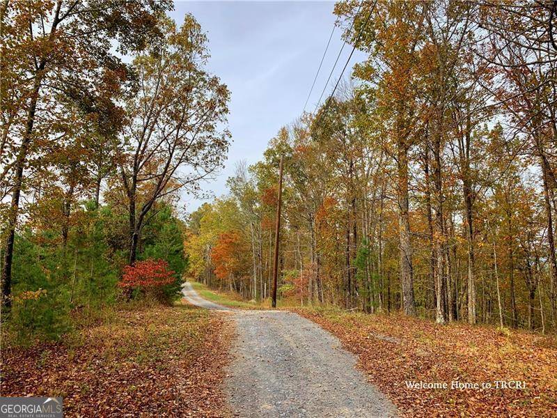 Talking Rock, GA 30175,1691 Shade Tree