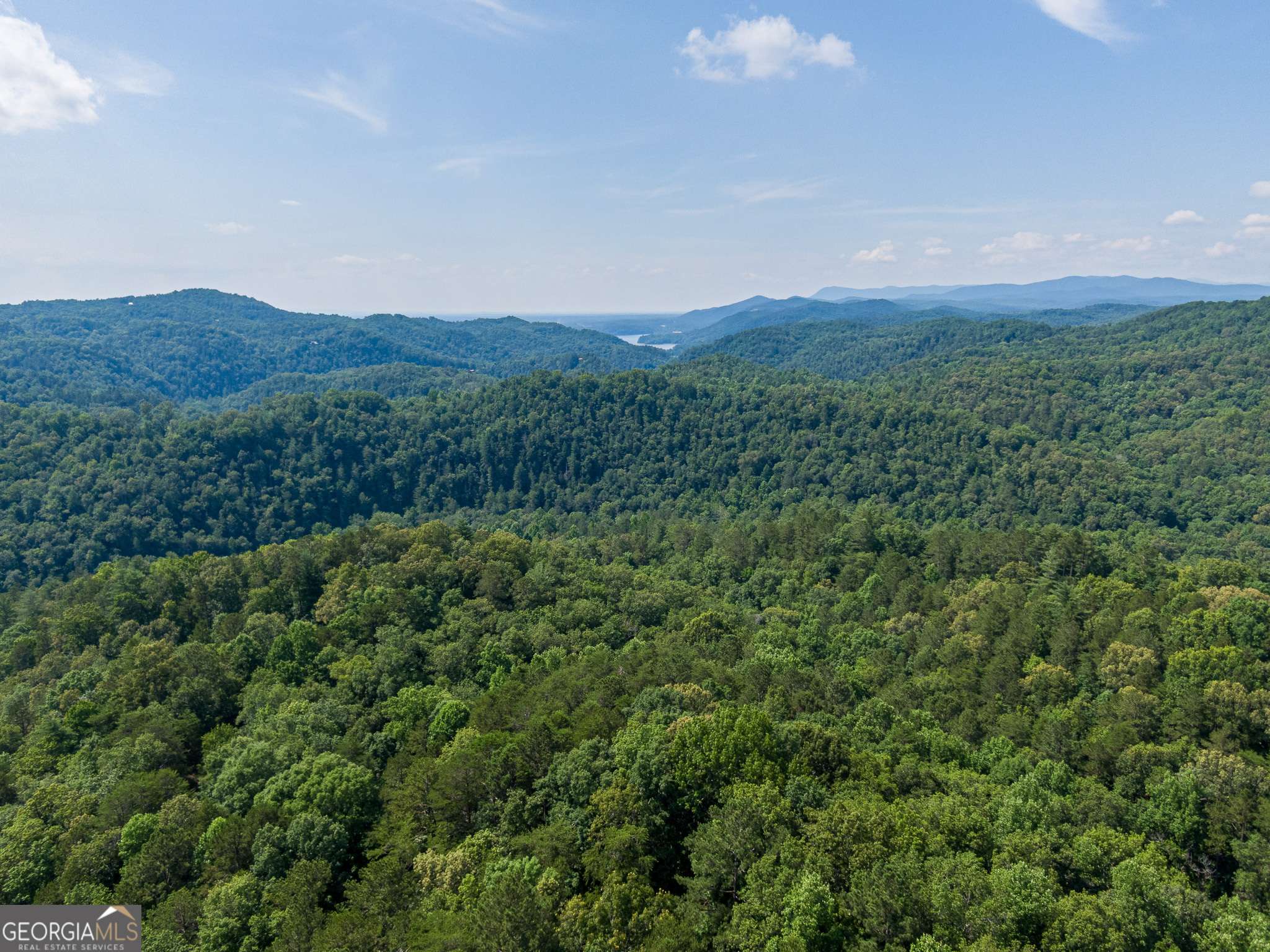Ranger, GA 30734,718 Neptune CIR