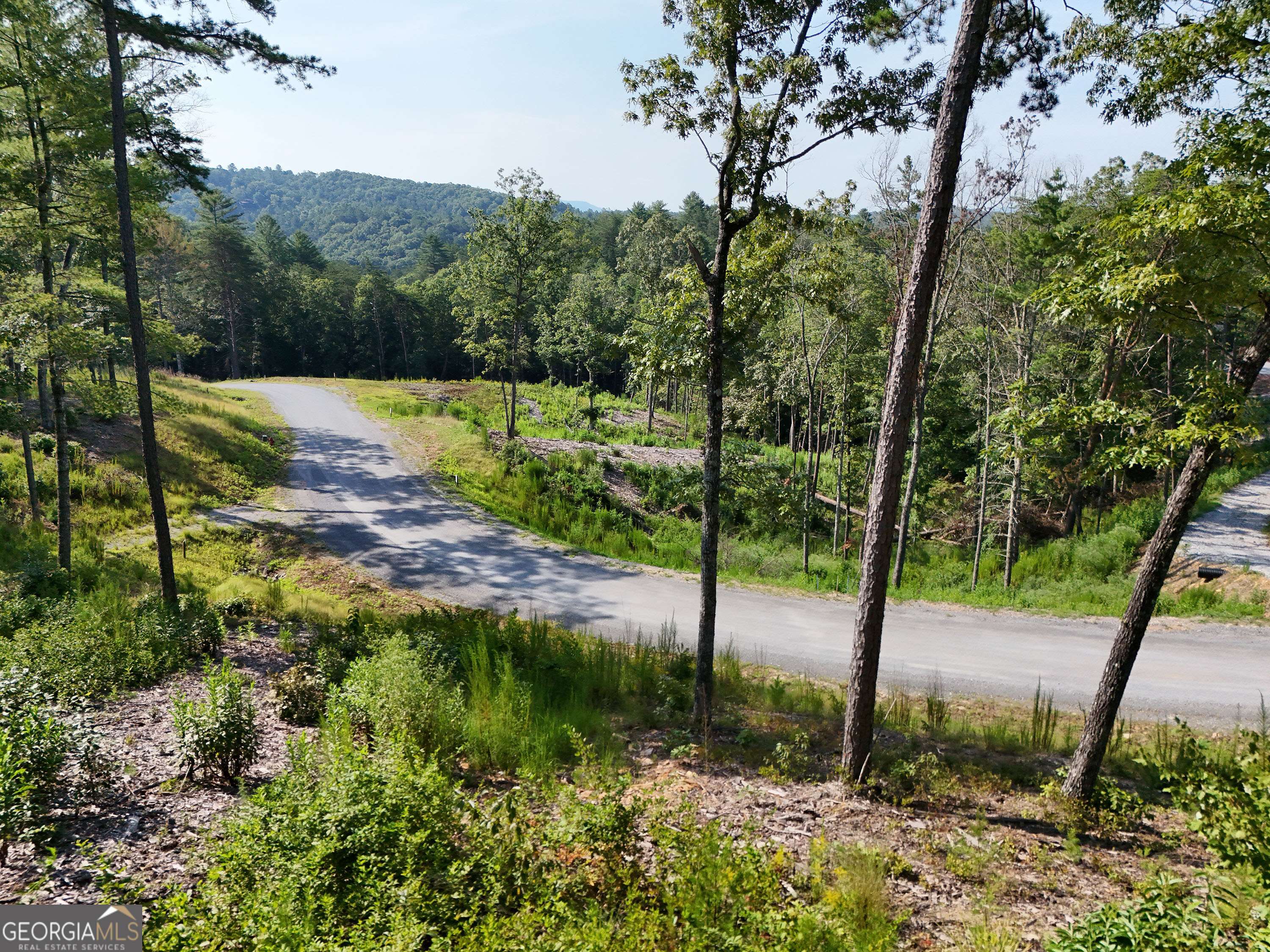 Mineral Bluff, GA 30559,LOT 3 Mountain Laurel Ridge