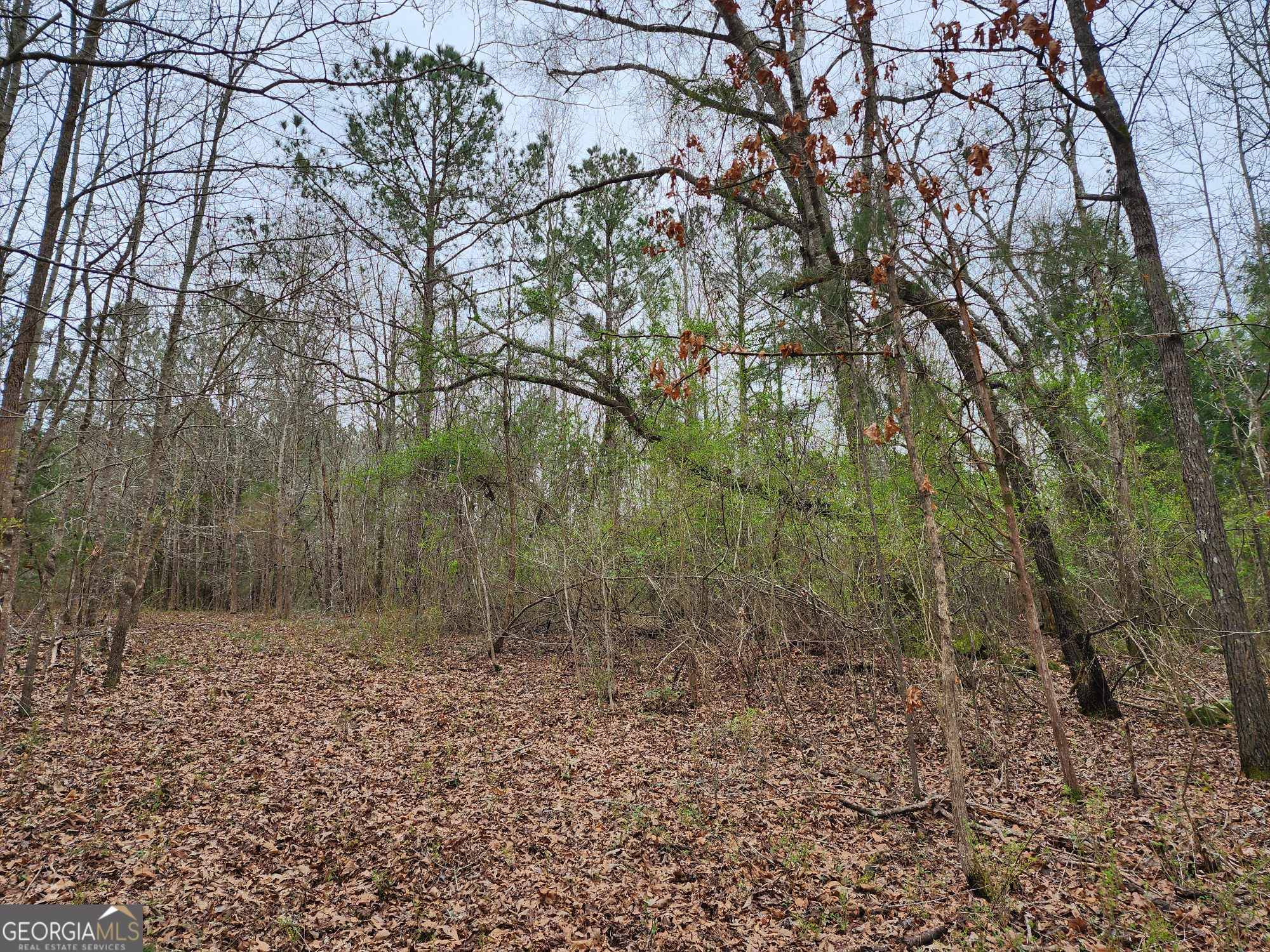 Thomaston, GA 30286,LOT 17 Smith Road