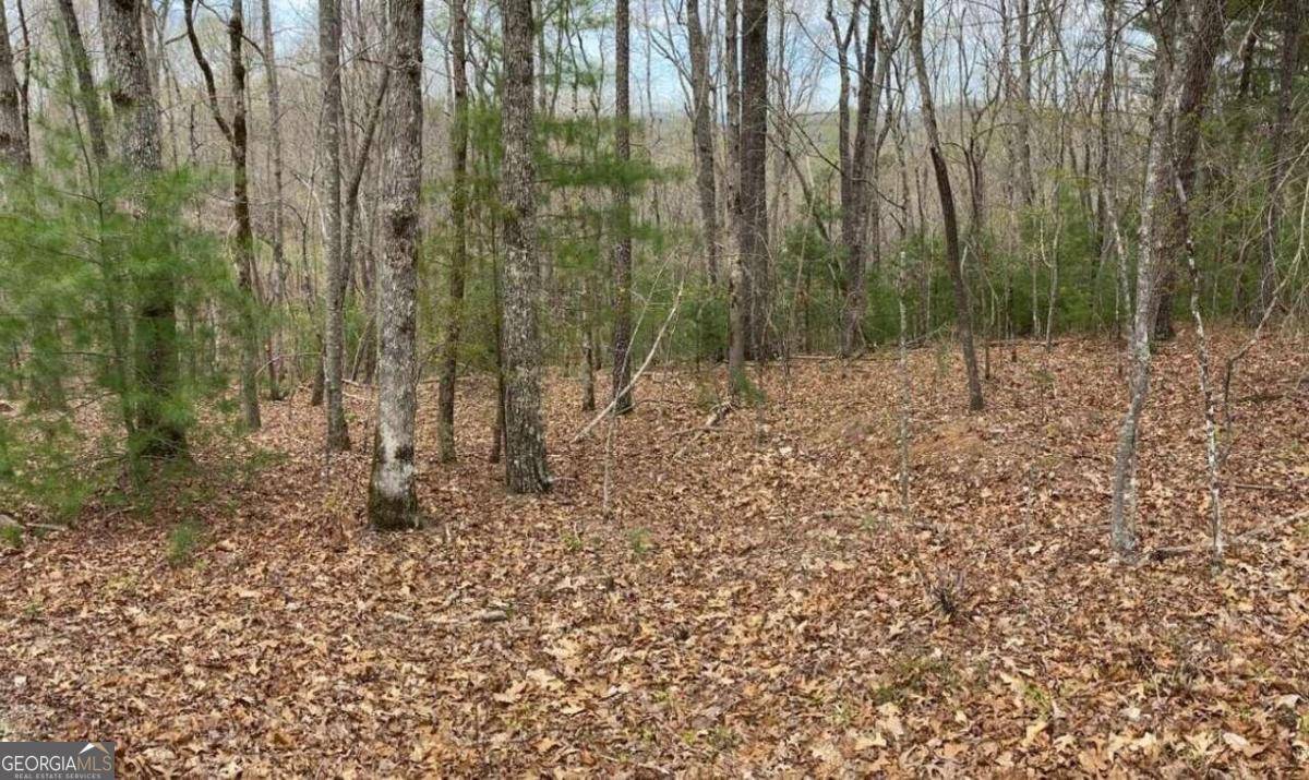 Morganton, GA 30560,LT 4 Oak Crest DR #4