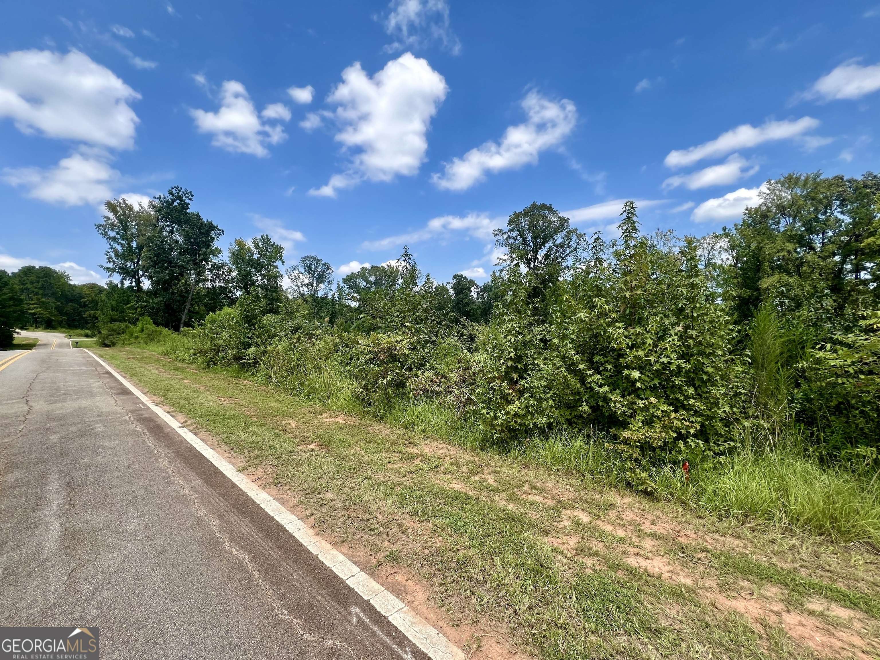 Monticello, GA 31064,274 AND 338 Water Oak Dr.