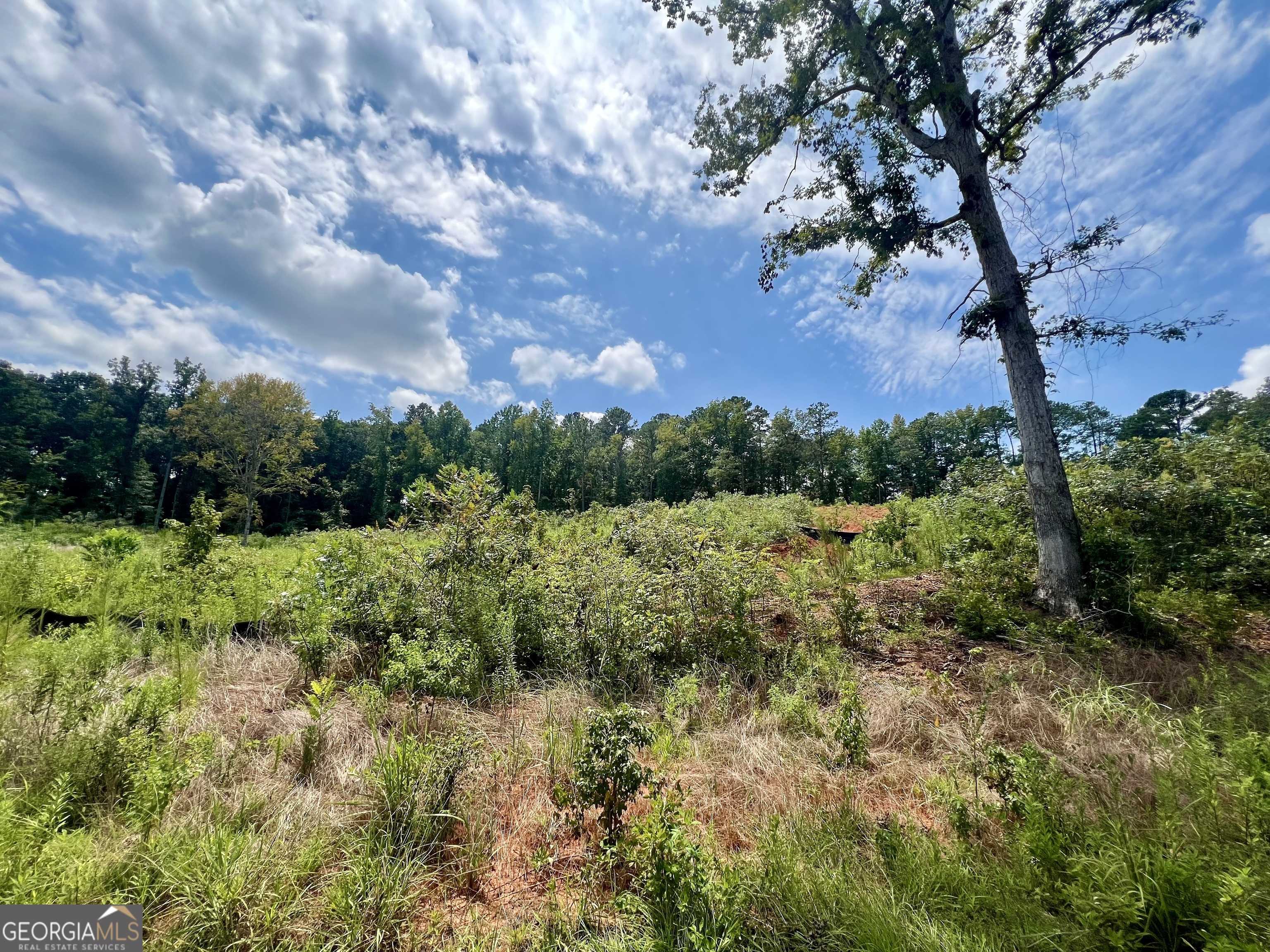 Monticello, GA 31064,261 Water Oak DR