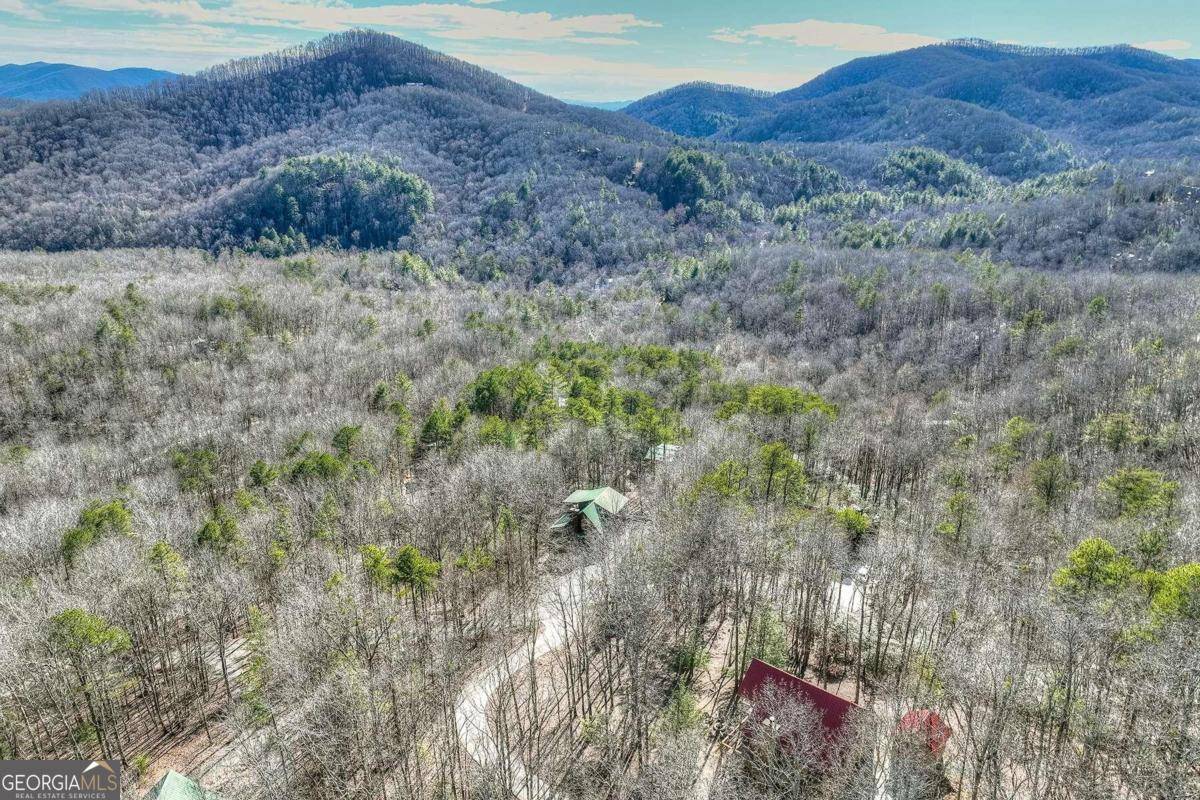 Cherry Log, GA 30522,494 Lower Prince Mountain