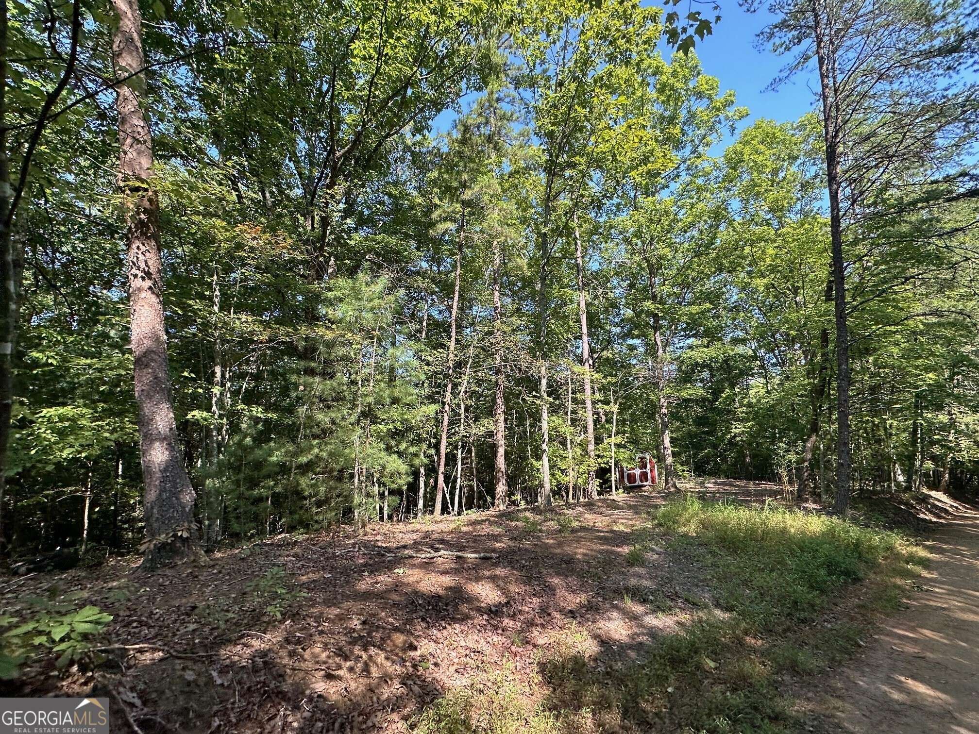 Mineral Bluff, GA 30559,LOT 5 Bear Mountain Pass