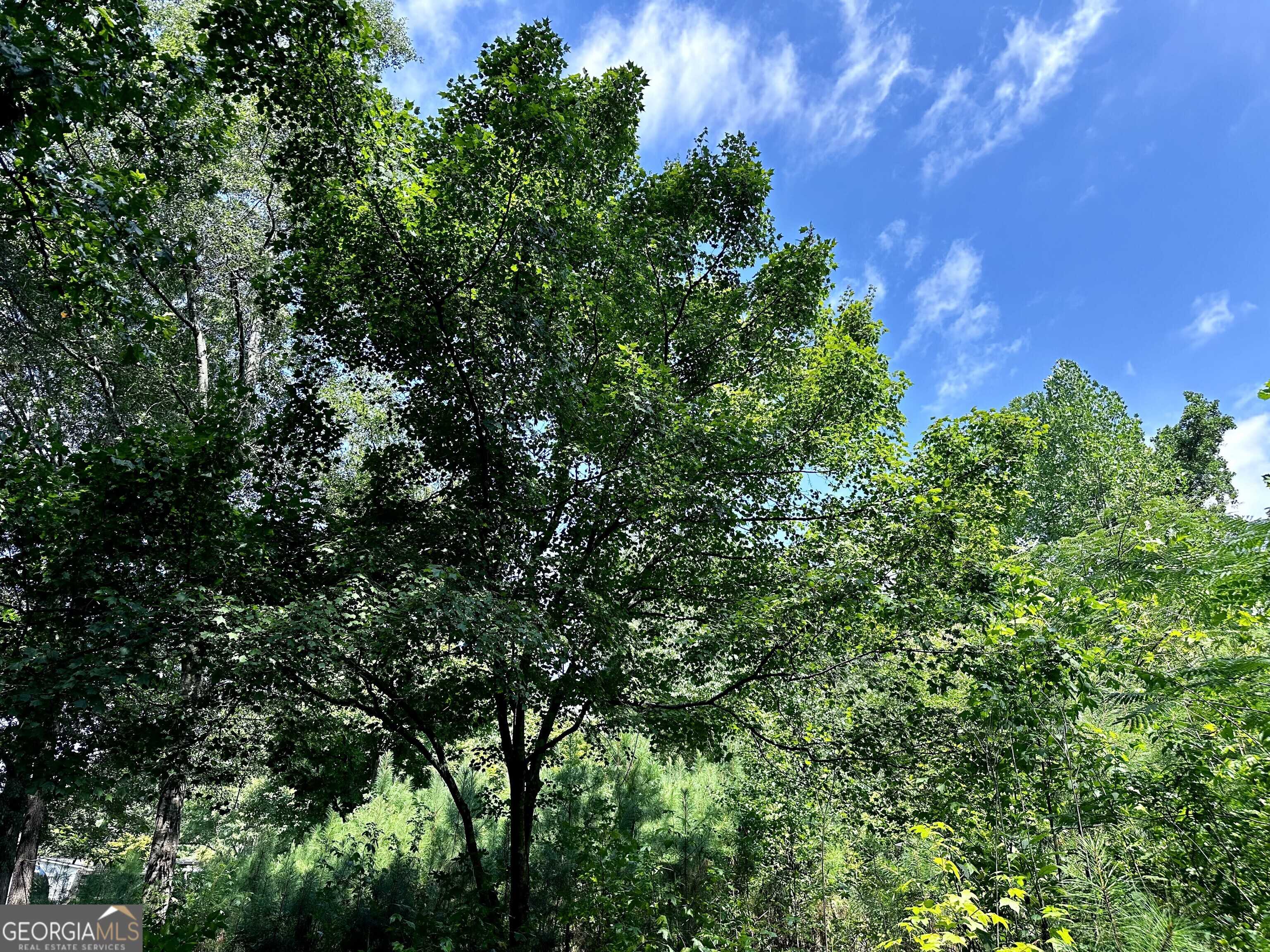 Acworth, GA 30101,133 Ridgeway CT SE