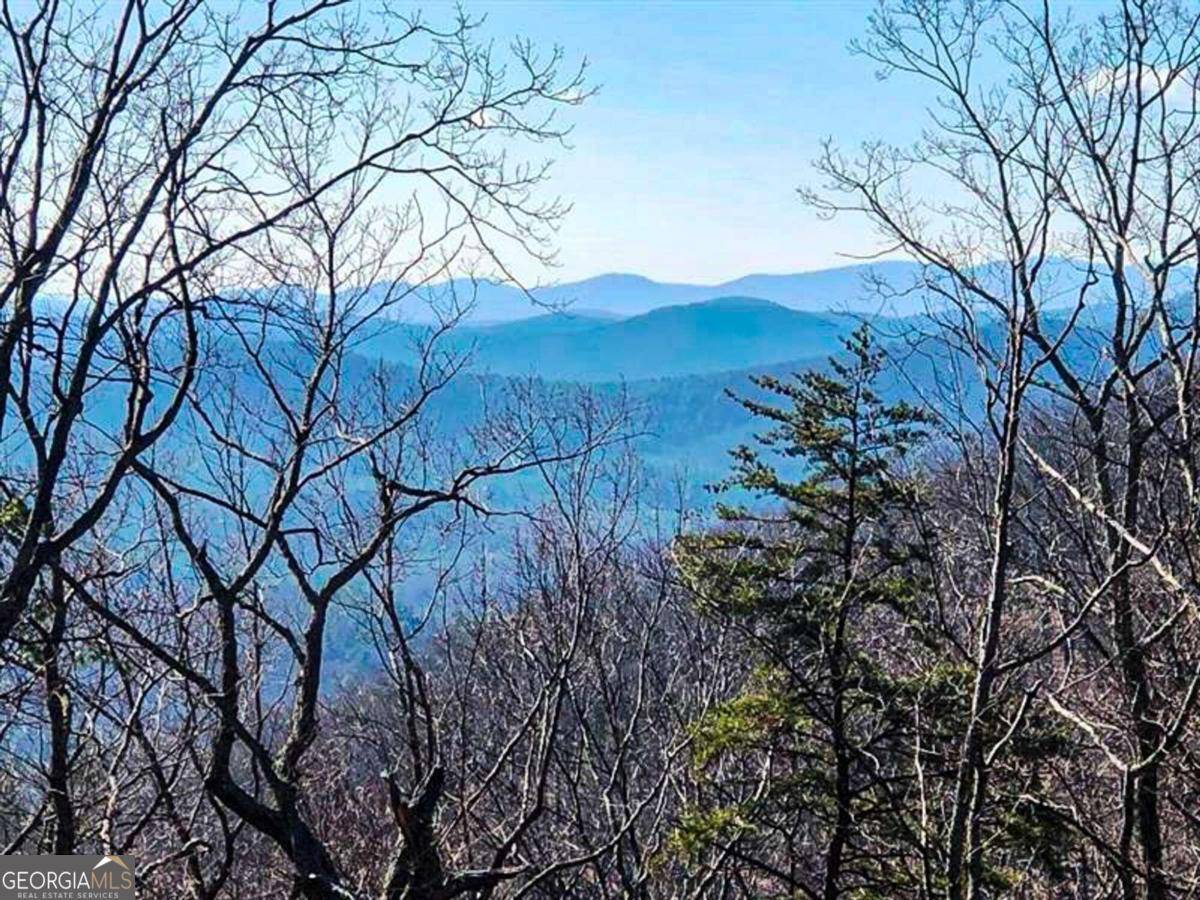 Dahlonega, GA 30533,00 Coopers Gap Road