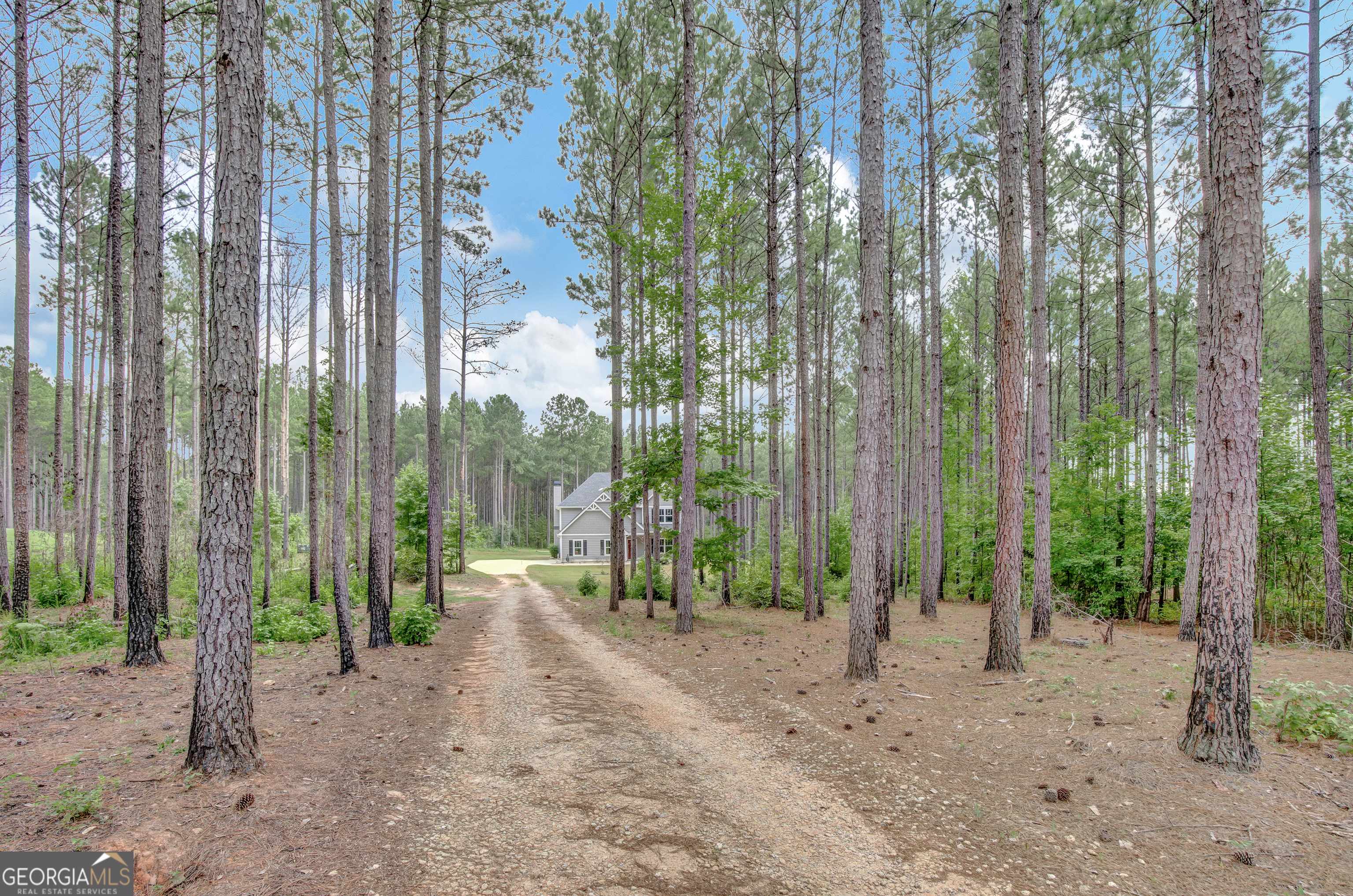Grantville, GA 30220,64 Limb CT