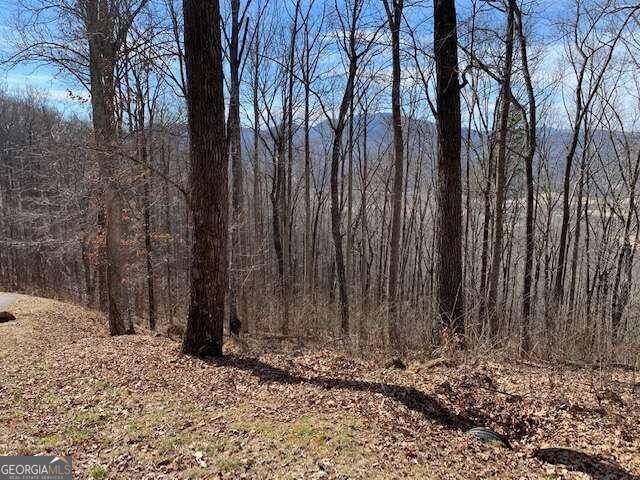 Young Harris, GA 30582,LOT 2 Rocky Knob