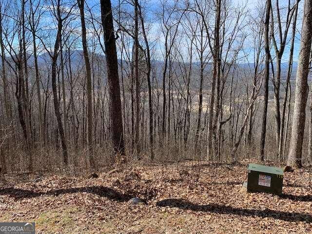 Young Harris, GA 30582,LOT 2 Rocky Knob