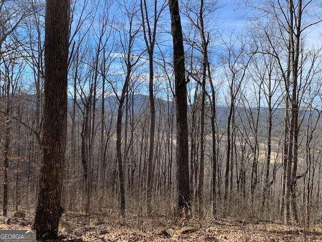 Young Harris, GA 30582,LOT 2 Rocky Knob