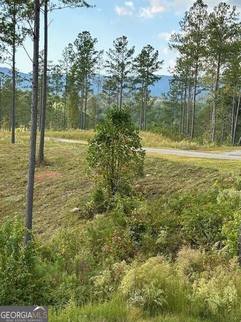 Ellijay, GA 30540,LOT 62 High River Landing