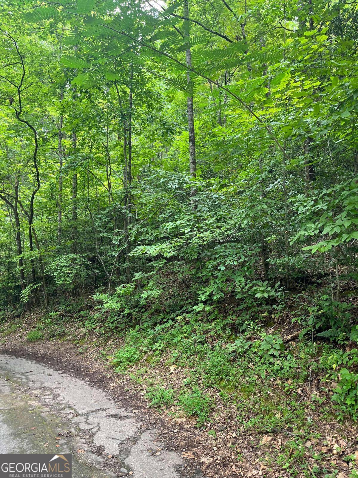 Hayesville, NC 28904,LOT 12 Kilpatrick Point TER