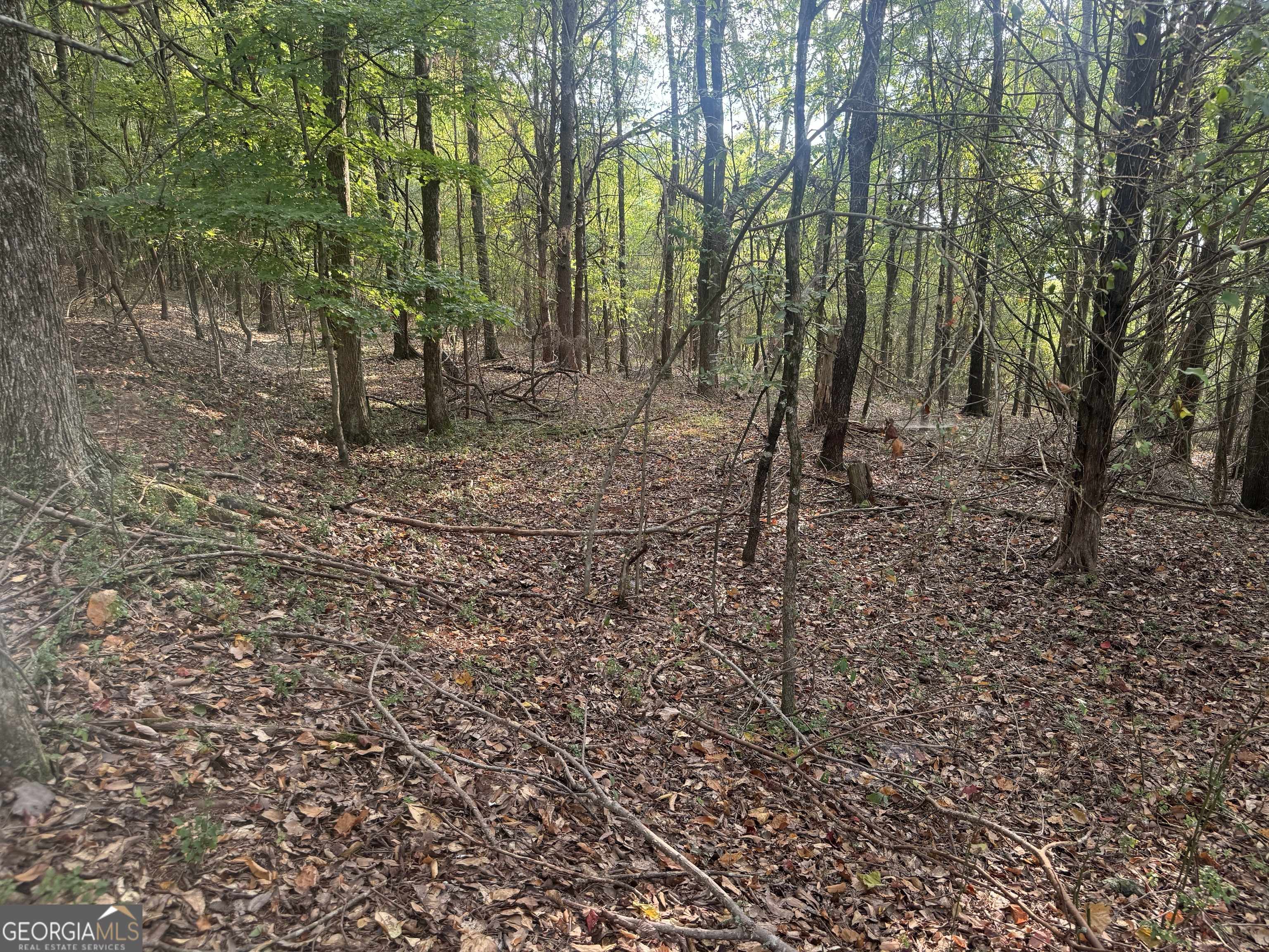 Cave Spring, GA 30124,0 Ridge RD