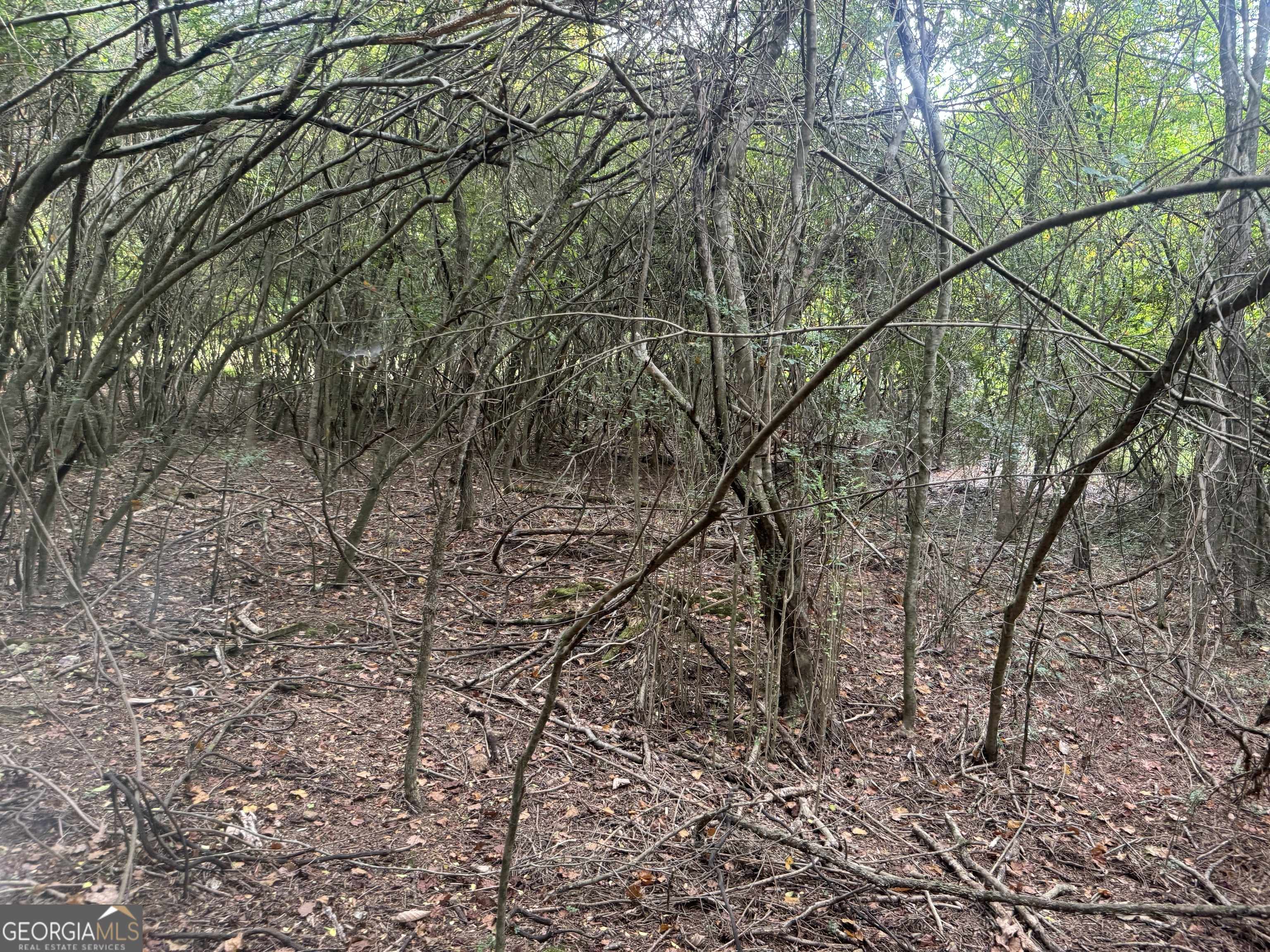 Cave Spring, GA 30124,0 Valley RD