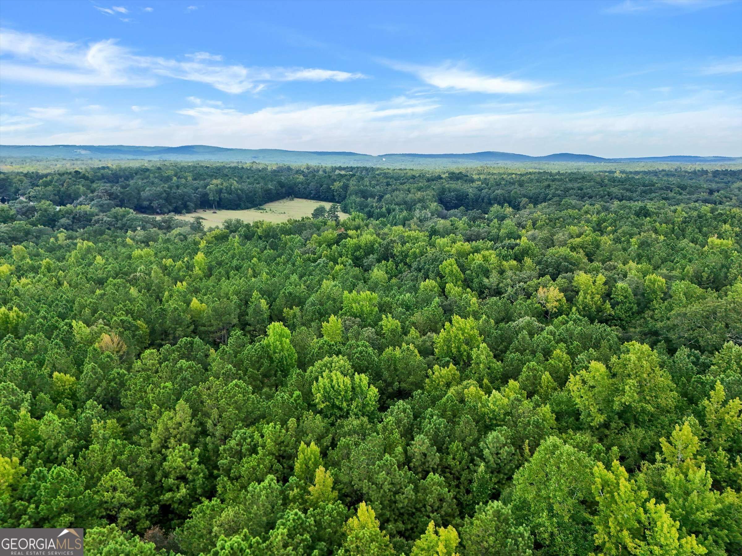 Thomaston, GA 30286,0 Adams RD