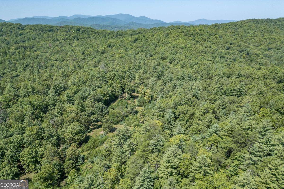 Blue Ridge, GA 30513,10 AC Doublehead Gap RD #TRACT 1