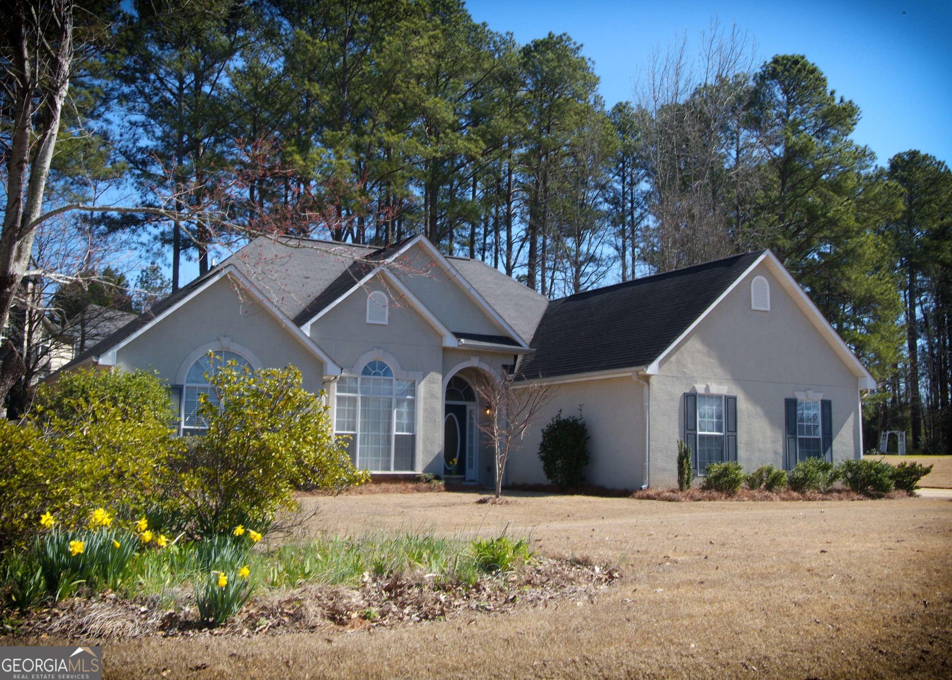 Mcdonough, GA 30253,2009 Reserve